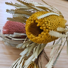 Load image into Gallery viewer, Dried Banksia Hookerana - Sunrise Yellow
