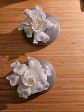 Load image into Gallery viewer, Gardenia Pebble Vase
