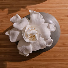 Load image into Gallery viewer, Gardenia Pebble Vase
