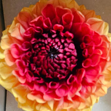 Load image into Gallery viewer, Preserved Dahlia Pumpkin Pie
