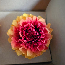 Load image into Gallery viewer, Preserved Dahlia Pumpkin Pie
