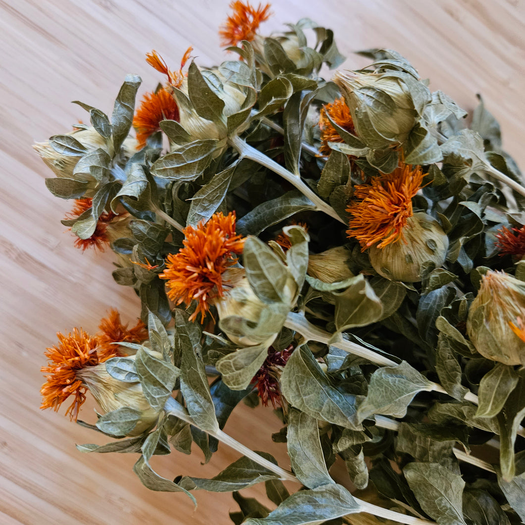 Dried Safflower / Bidens / Cathamus in Yellow Orange