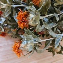 Load image into Gallery viewer, Dried Safflower / Bidens / Cathamus in Yellow Orange
