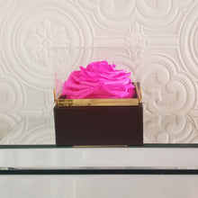 Load image into Gallery viewer, Preserved Platinum Grande Rose Bloom in Square Acrylic Display Box
