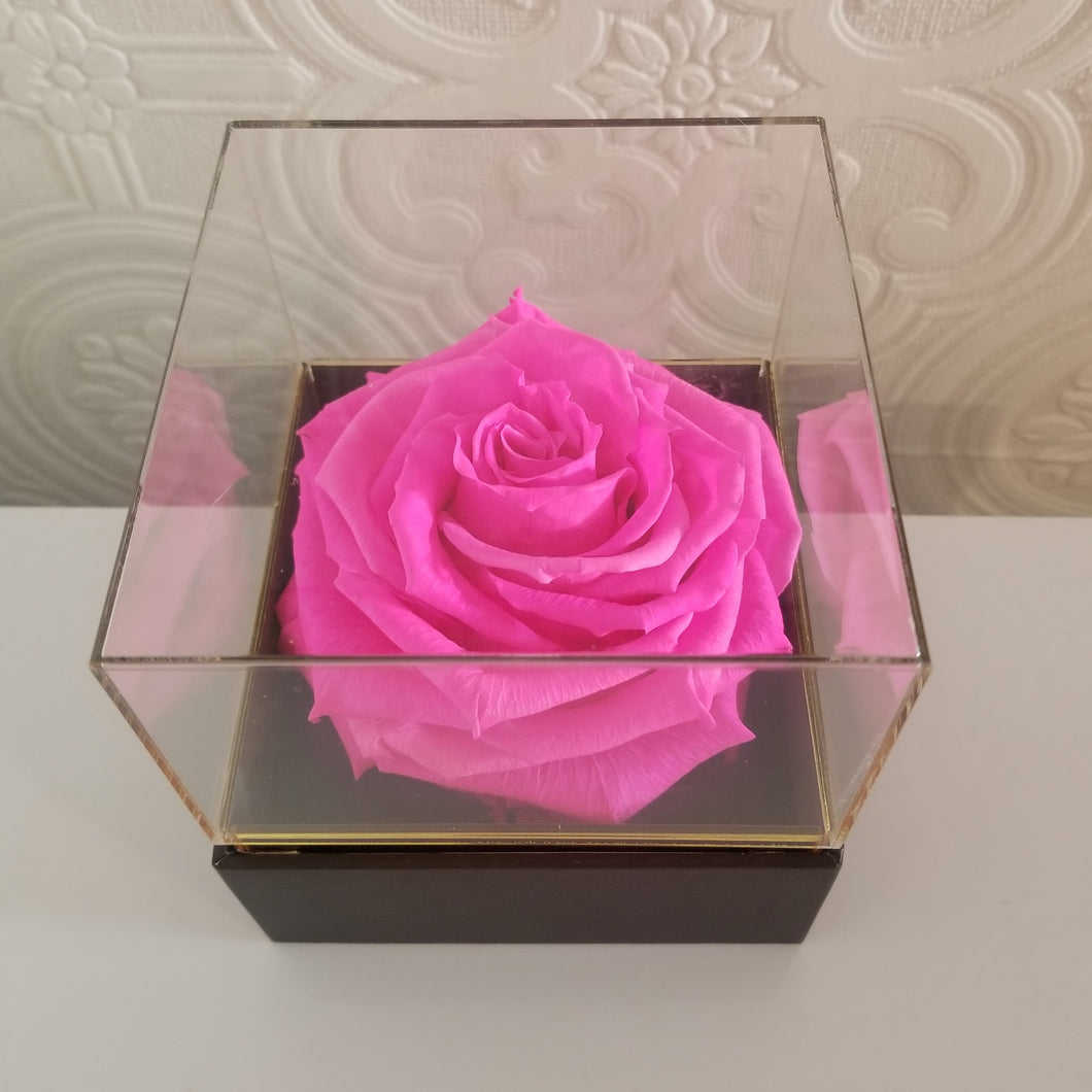 Preserved Platinum Grande Rose Bloom in Square Acrylic Display Box