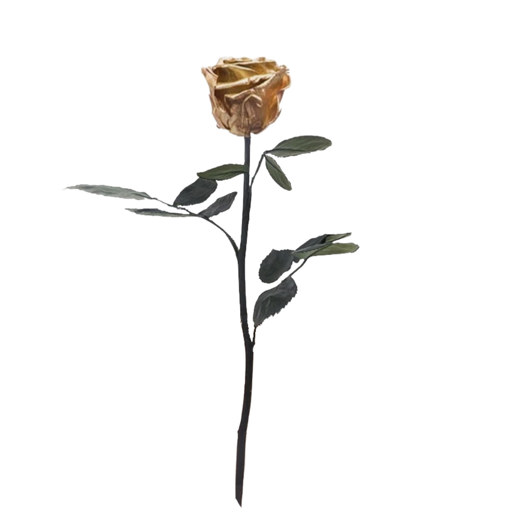 Preserved Long Stem Roses - Will Sell Out!